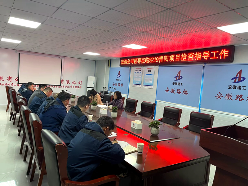 公司黨委委員、紀委書記王鵬到S219青陽改建項目調(diào)研指導(dǎo)工作